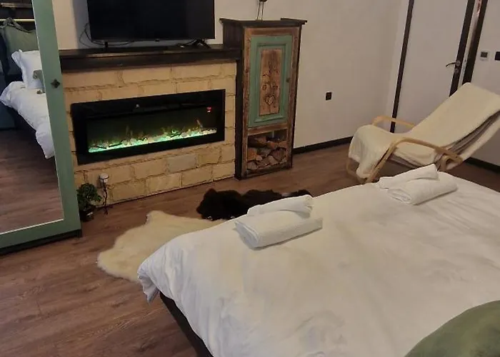 Boutique Katerina 公寓 *